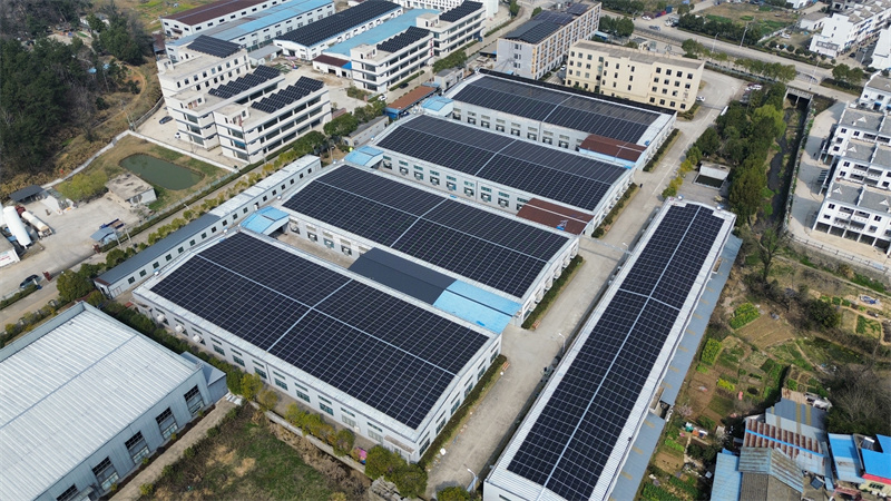 99fd69764caee61073f7b092c4ff750